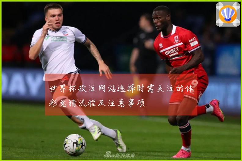 世界杯投注网站选择时需关注的体彩竞猜流程及注意事项