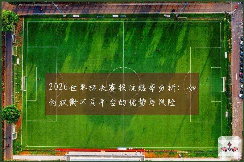 2026世界杯决赛投注赔率分析：如何权衡不同平台的优势与风险